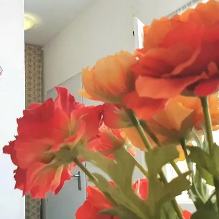 דירה Lovelystay - Yellow Submarine House
